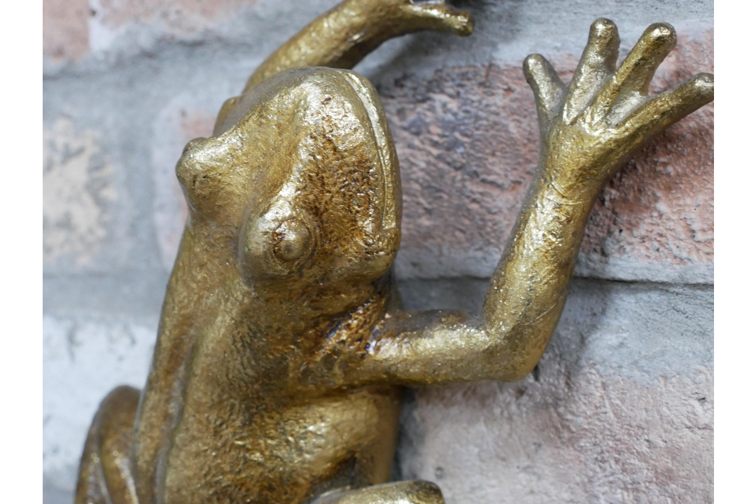 Elegant Gold Frog Wall Sculpture Decorative Resin Home Accent
