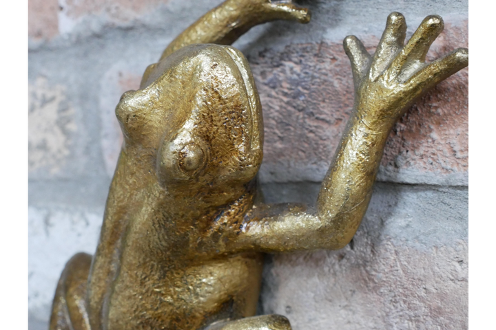 Elegant Gold Frog Wall Sculpture Decorative Resin Home Accent
