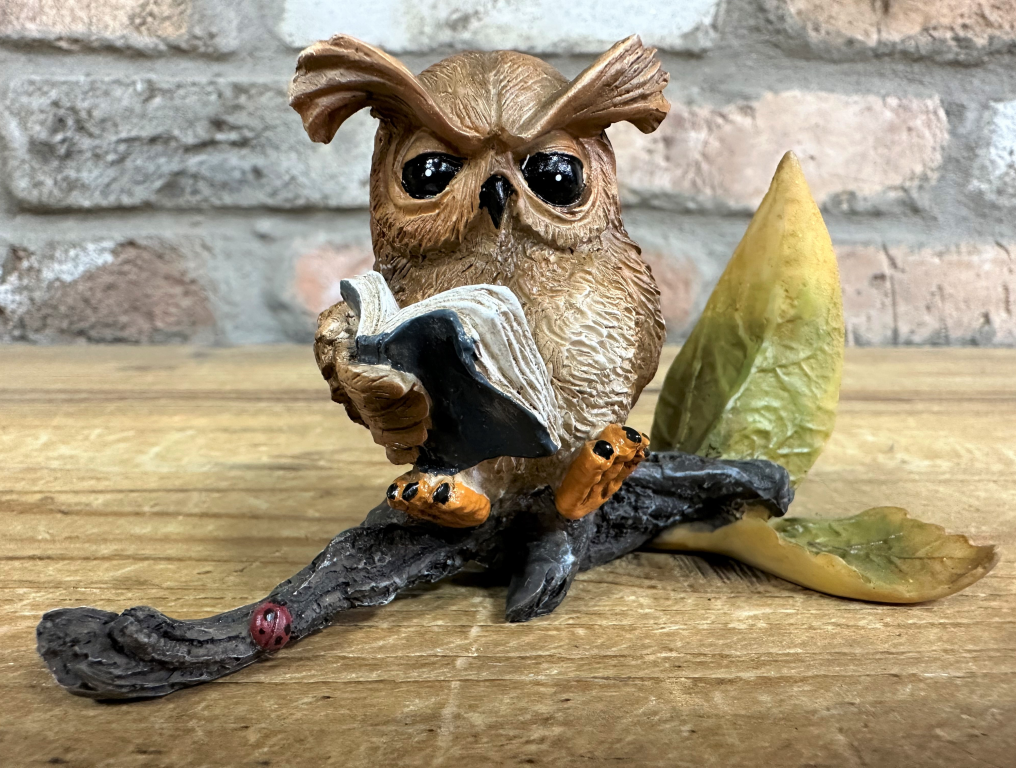 Small Resin Owl Sitting on Branch Reading Book – Cute Decorative Figurine