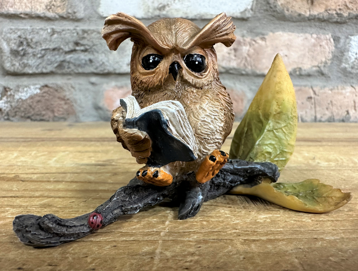 Small Resin Owl Sitting on Branch Reading Book – Cute Decorative Figurine