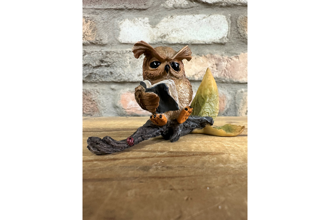 Small Resin Owl Sitting on Branch Reading Book – Cute Decorative Figurine