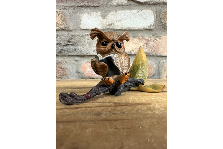 Small Resin Owl Sitting on Branch Reading Book – Cute Decorative Figurine