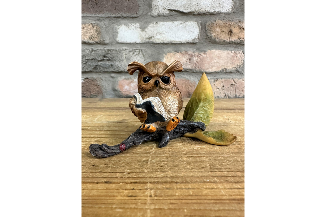 Small Resin Owl Sitting on Branch Reading Book – Cute Decorative Figurine