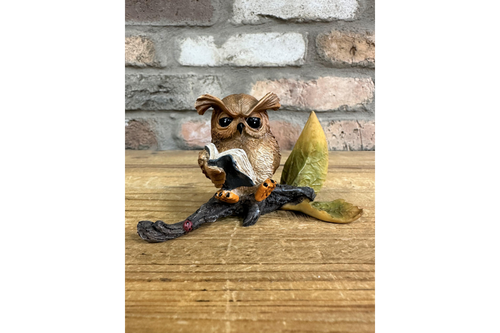 Small Resin Owl Sitting on Branch Reading Book – Cute Decorative Figurine