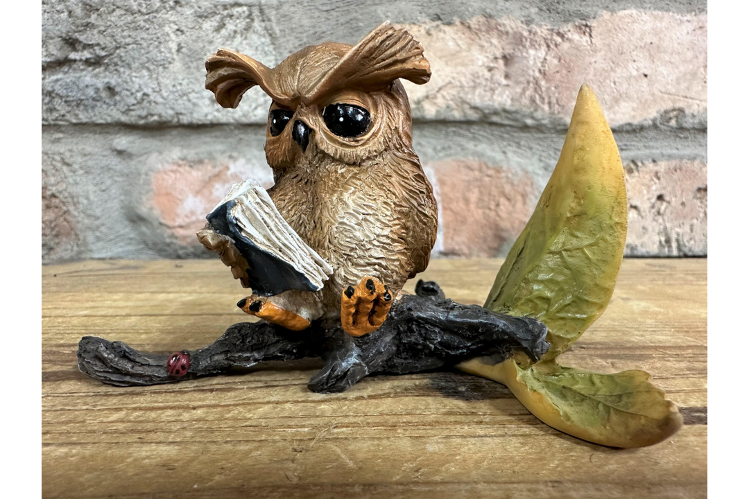 Small Resin Owl Sitting on Branch Reading Book – Cute Decorative Figurine