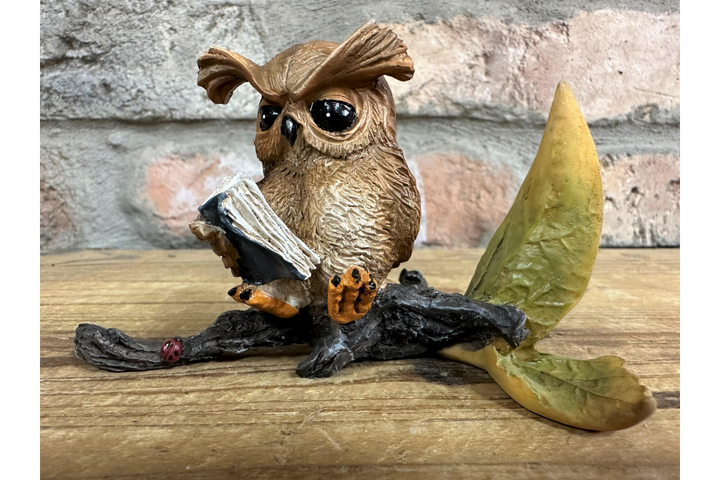 Small Resin Owl Sitting on Branch Reading Book – Cute Decorative Figurine