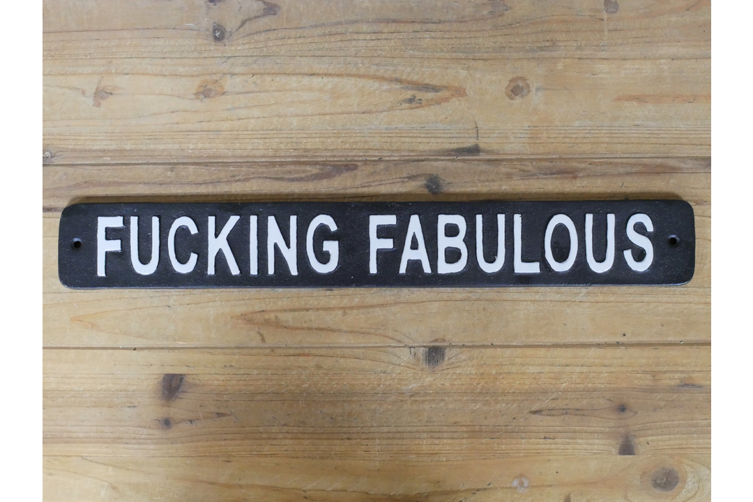 Cast Iron Novelty Sign Sarcastic Metal Wall Art quirky Plaque indoor/outdoor