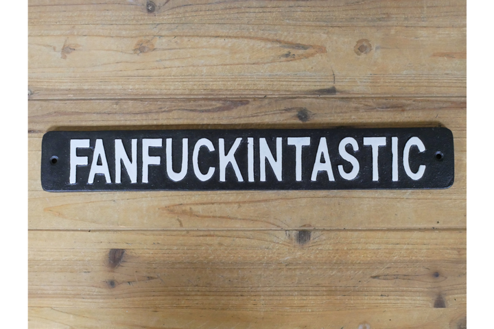 Cast Iron Novelty Sign Sarcastic Metal Wall Art quirky Plaque indoor/outdoor