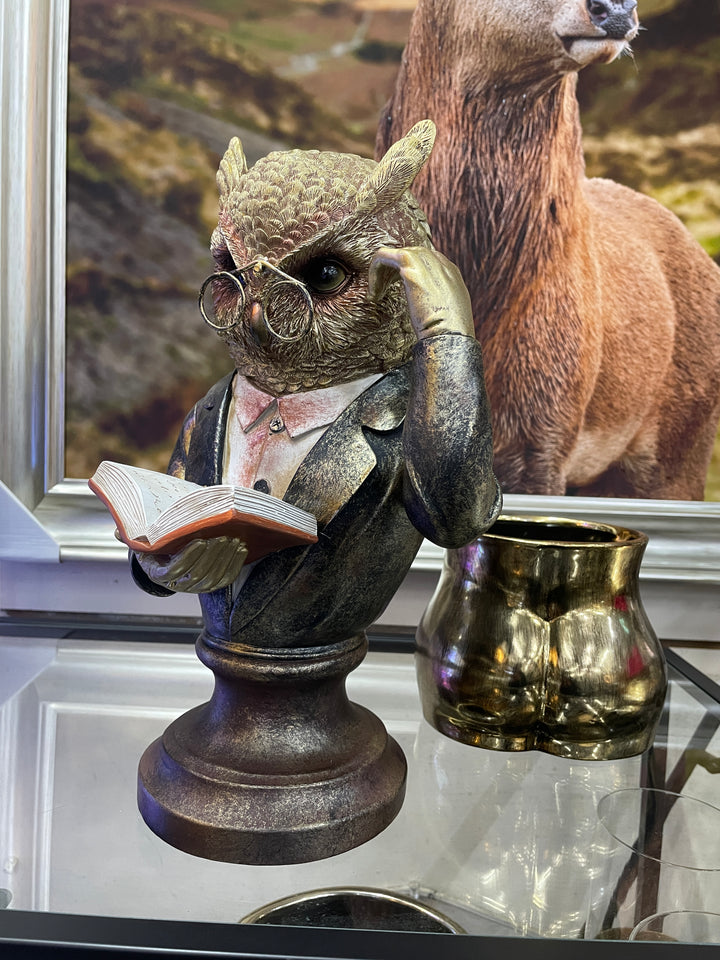 Wise Owl Bust Ornament brushed gold Sculpture wearing Glasses reading a Book