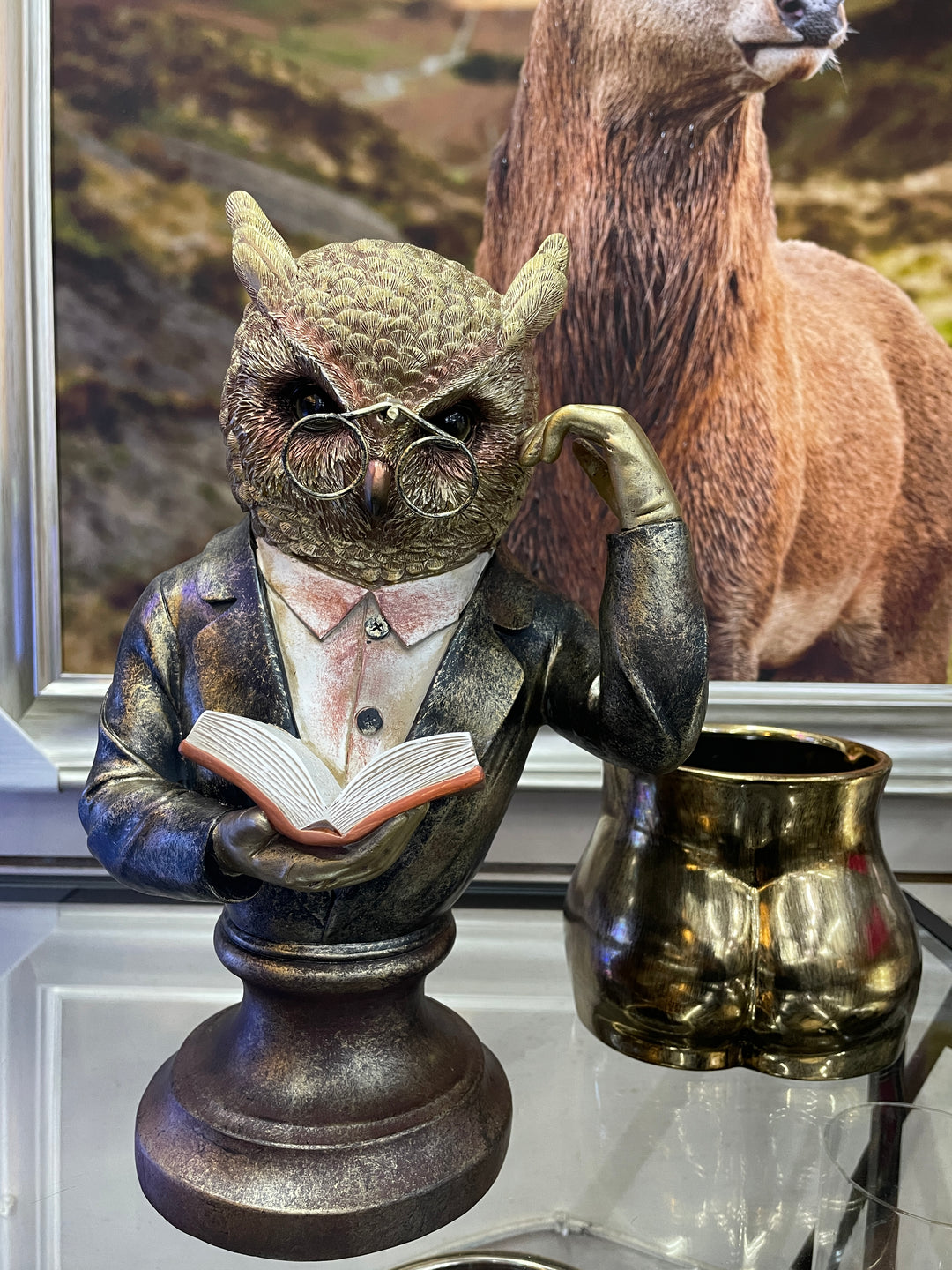 Wise Owl Bust Ornament brushed gold Sculpture wearing Glasses reading a Book