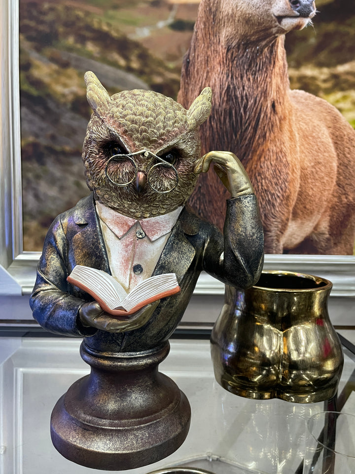 Wise Owl Bust Ornament brushed gold Sculpture wearing Glasses reading a Book