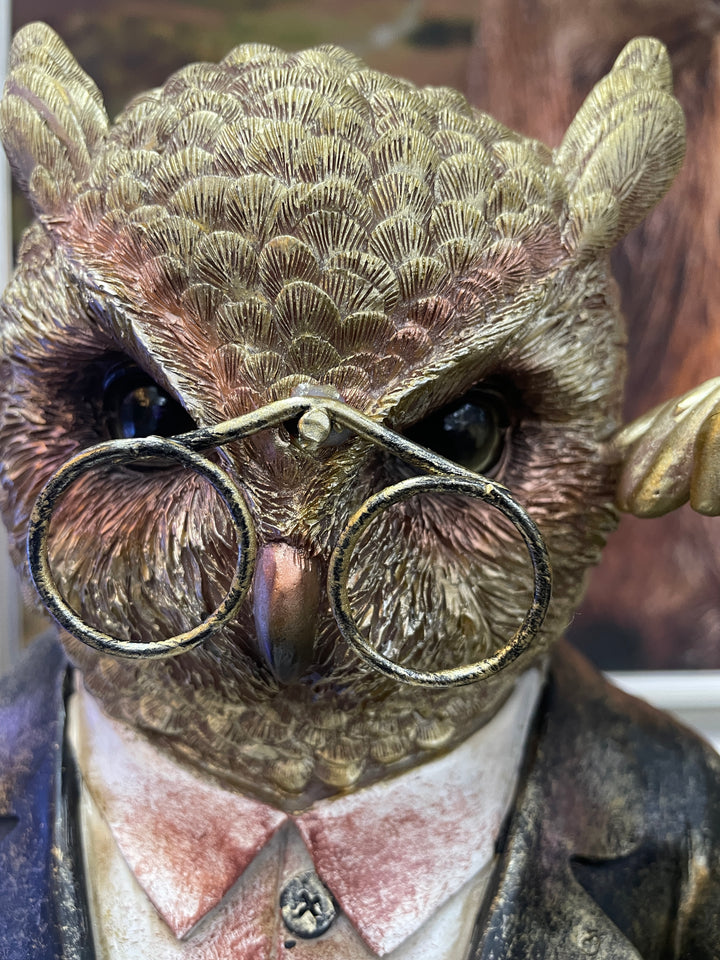 Wise Owl Bust Ornament brushed gold Sculpture wearing Glasses reading a Book