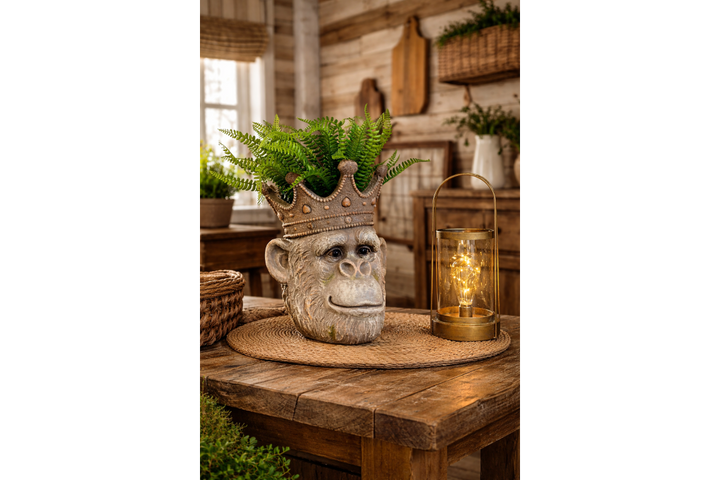 Lion & Monkey Head Resin Planter –  Decorative Plant Pot | Indoor Outdoor Statement Planter
