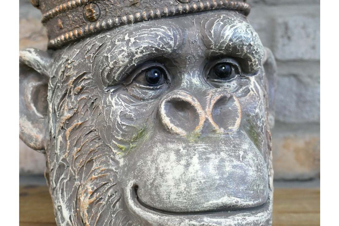 Lion & Monkey Head Resin Planter –  Decorative Plant Pot | Indoor Outdoor Statement Planter