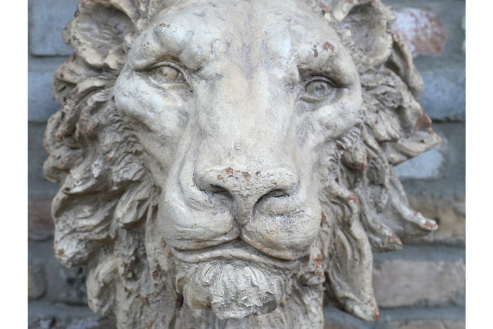 Lion Head Wall Art Sculpture – Realistic Animal Decor for Home & Garden