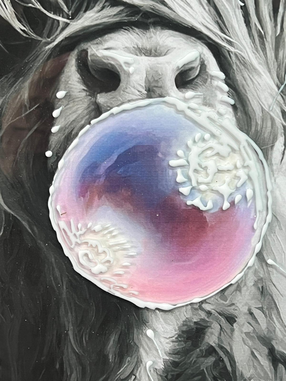 Highland Cow blowing bubble Wall Art Black & Silver alpha Frame Picture Decor