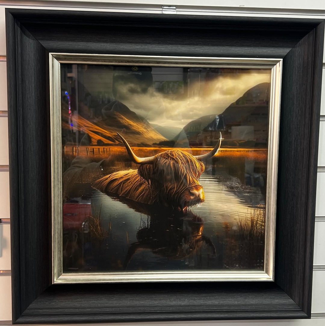 Highland Cow in pond of Water Wall Art Black & Silver alpha Frame Picture Decor