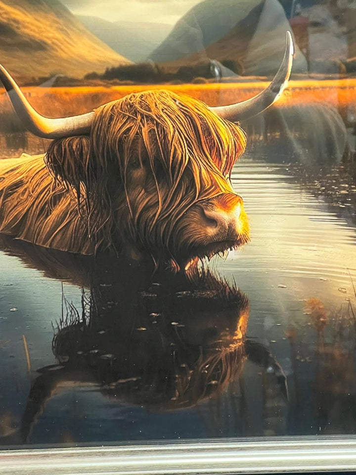 Highland Cow in pond of Water Wall Art Black & Silver alpha Frame Picture Decor