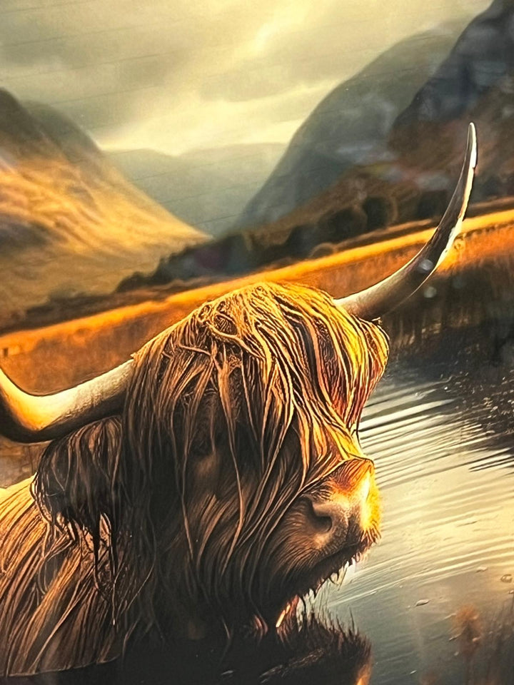 Highland Cow in pond of Water Wall Art Black & Silver alpha Frame Picture Decor