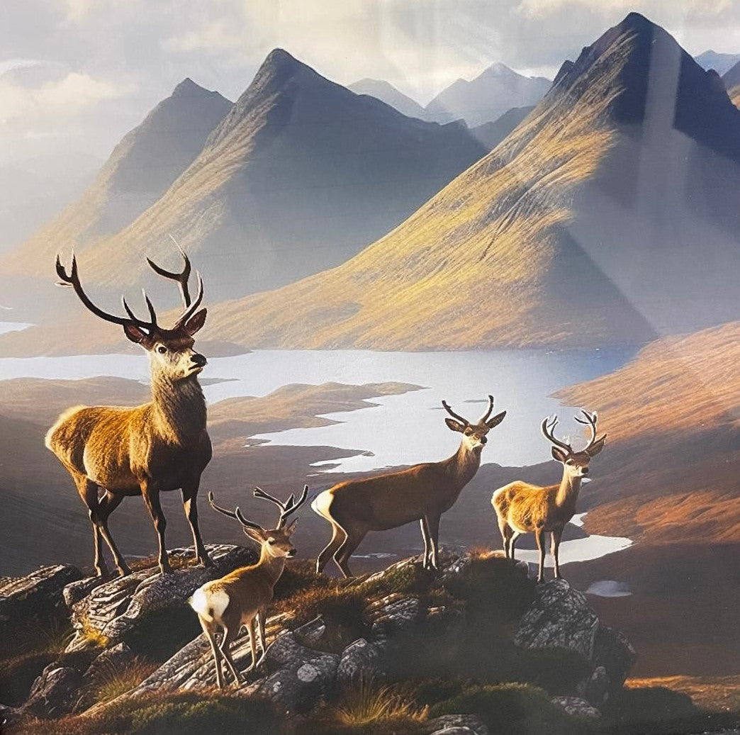 Herd of stags on the top of a cliff with a view and a black frame