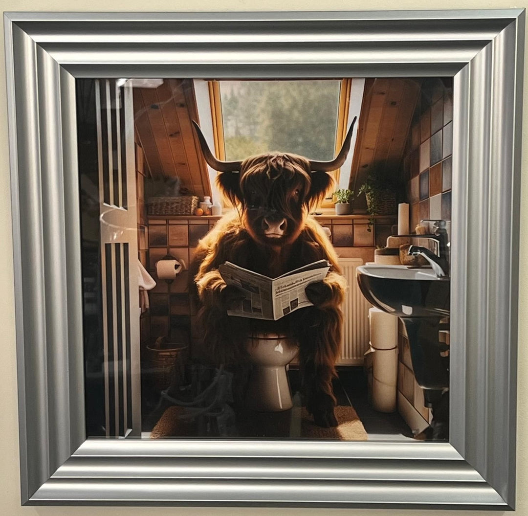 Highland Cow Chrome step frame picture sitting on a toilet, newspaper