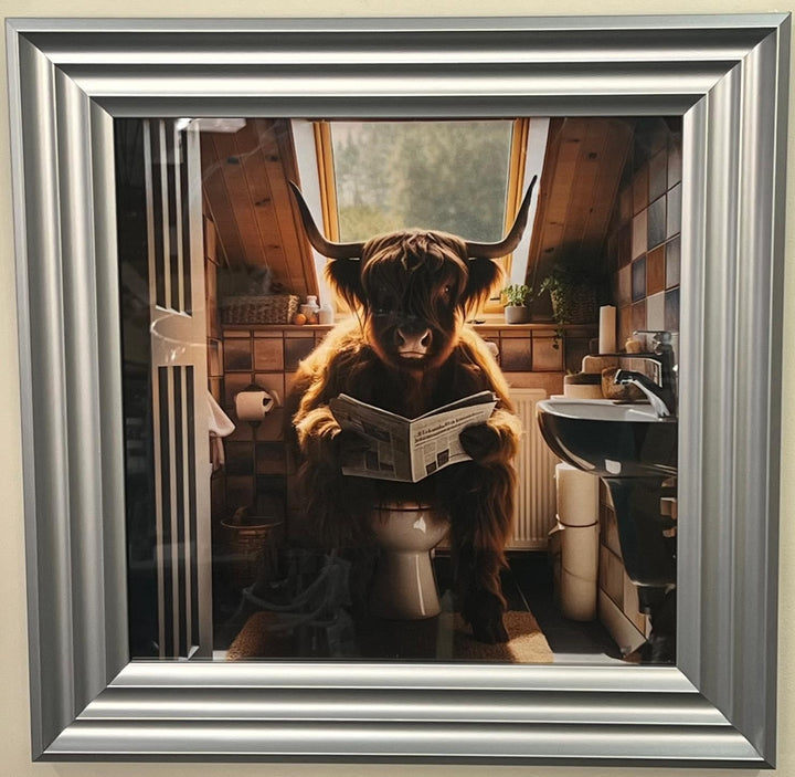 Highland Cow Chrome step frame picture sitting on a toilet, newspaper