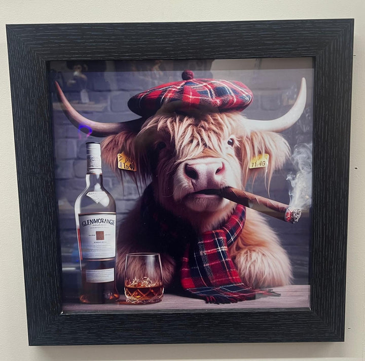 Black frame Highland Cow picture with Glenmorangie whisky, cigar - RIGHT