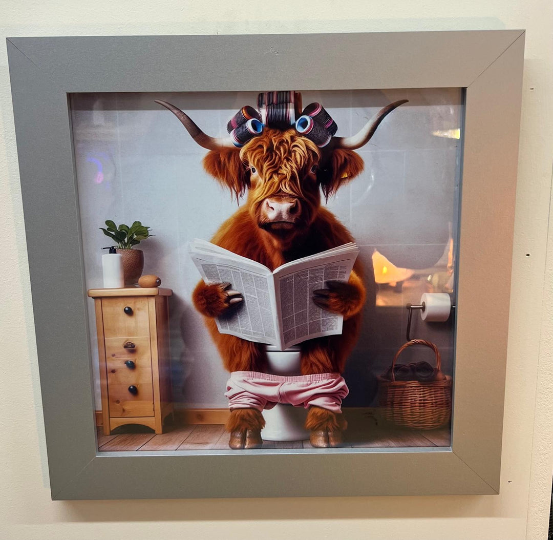 Silver frame picture PK-Highland cow sitting on a toilet with rollers newpaper