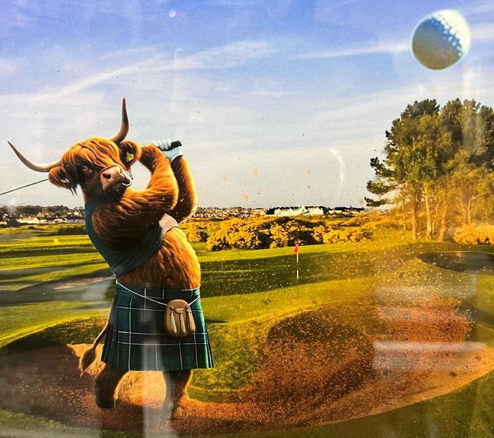 Highland Cow black frame picture playing golf green tartan kilt