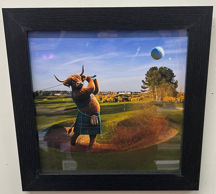 Highland Cow black frame picture playing golf green tartan kilt