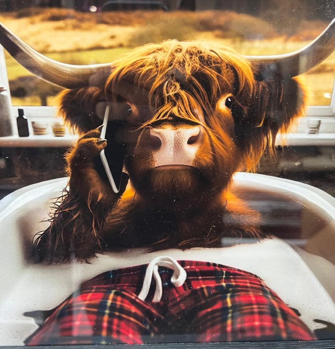 Highland Cow black frame picture bathing, cellphone red tartan