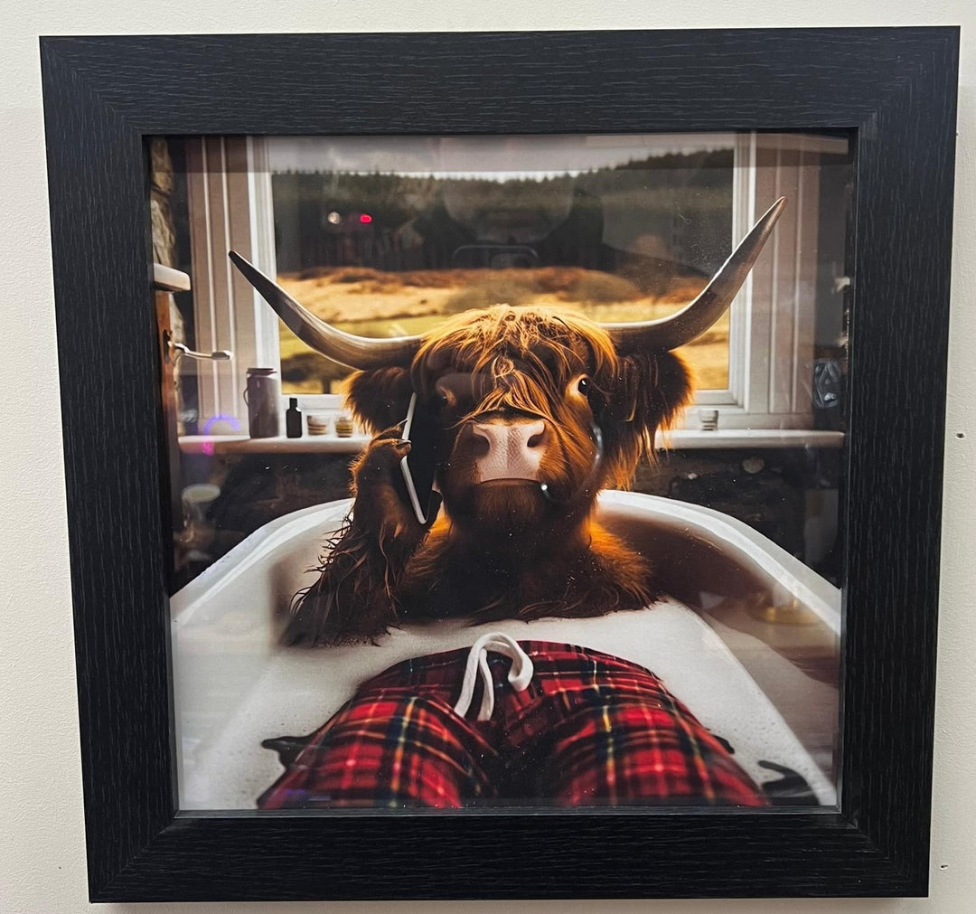 Highland Cow black frame picture bathing, cellphone red tartan