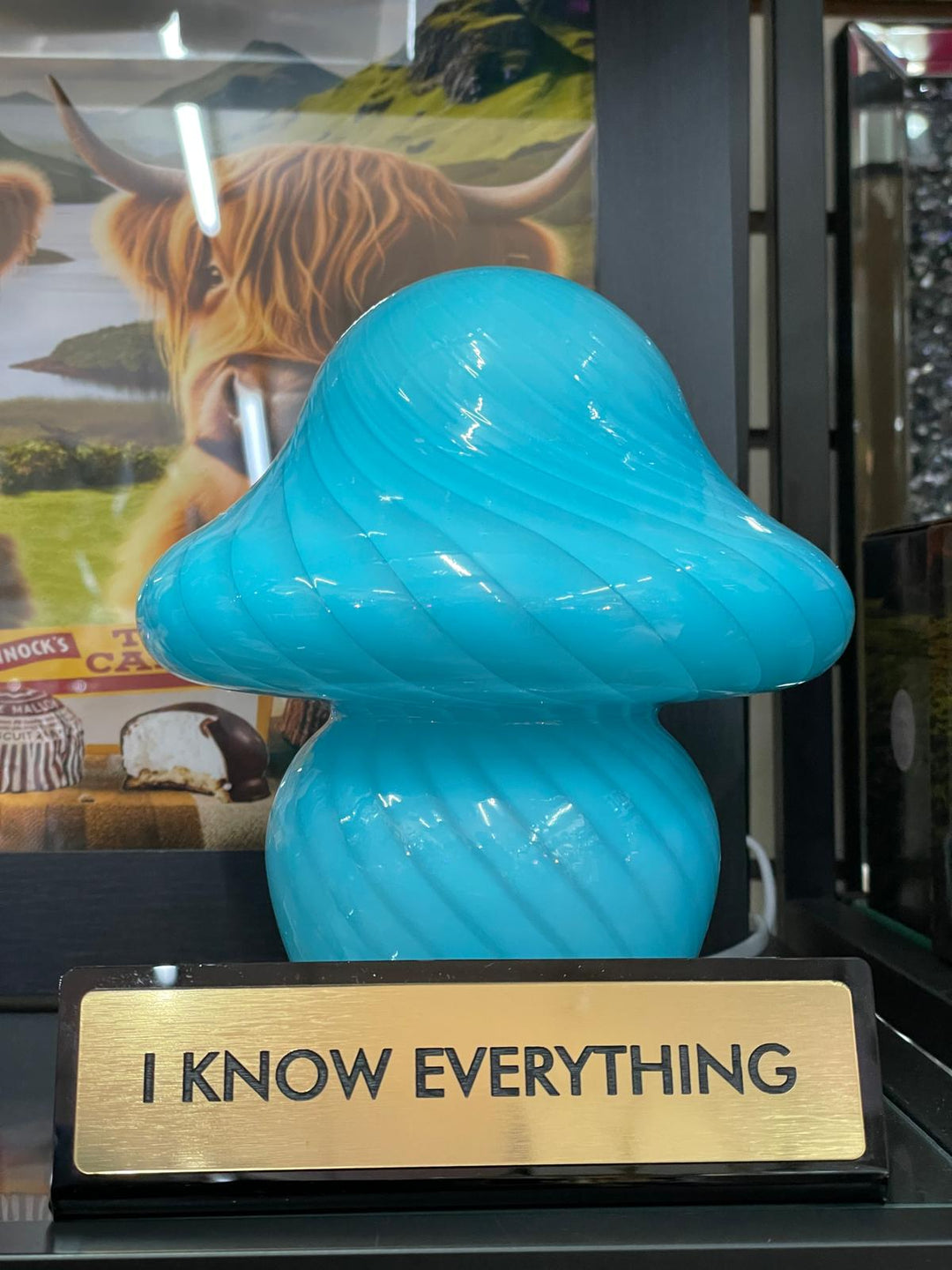 Black & gold I know everything acrylic funny desk plate