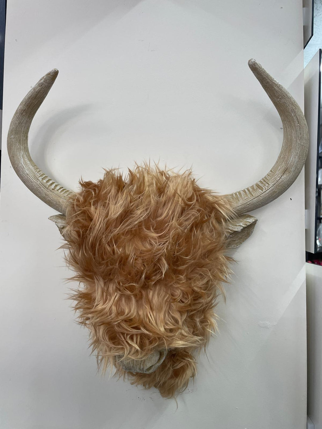 Woolly Highland Cow brown head wall mounted brown ornament