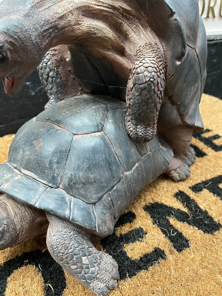 Happy tortoise grey resin cheeky ornament