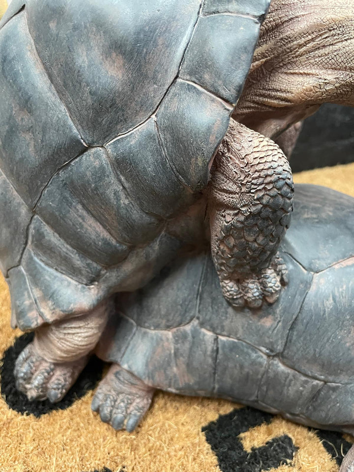 Happy tortoise grey resin cheeky ornament
