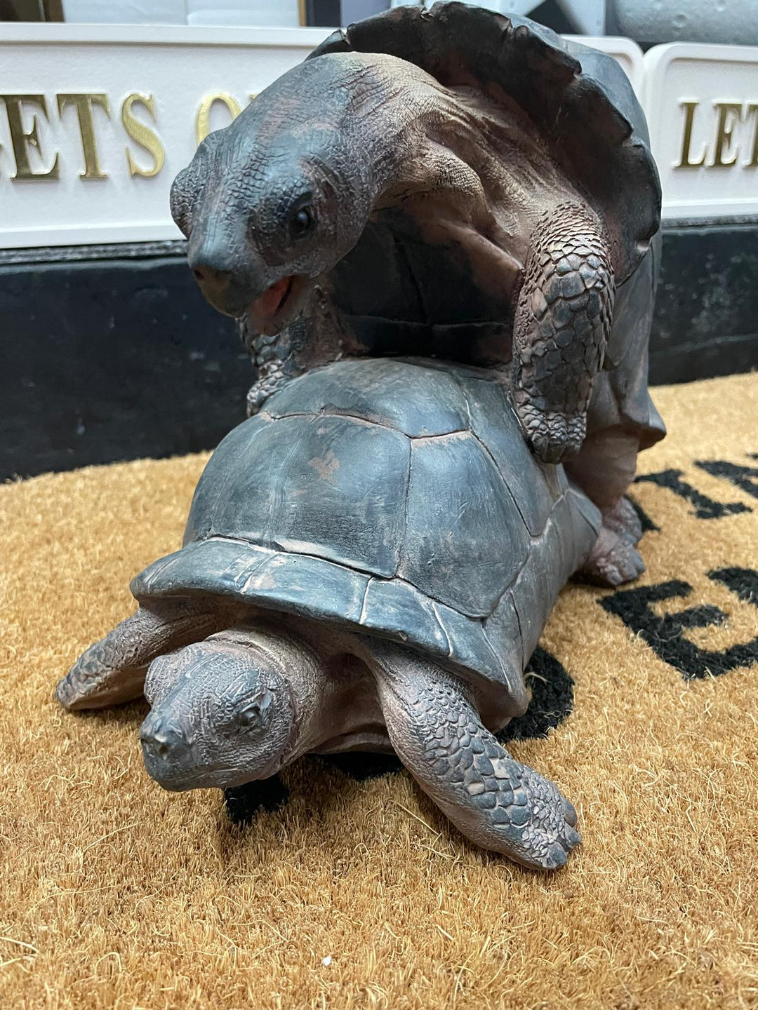 Happy tortoise grey resin cheeky ornament