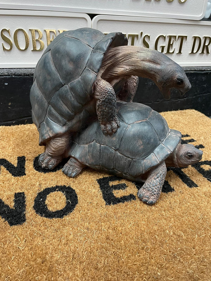 Happy tortoise grey resin cheeky ornament