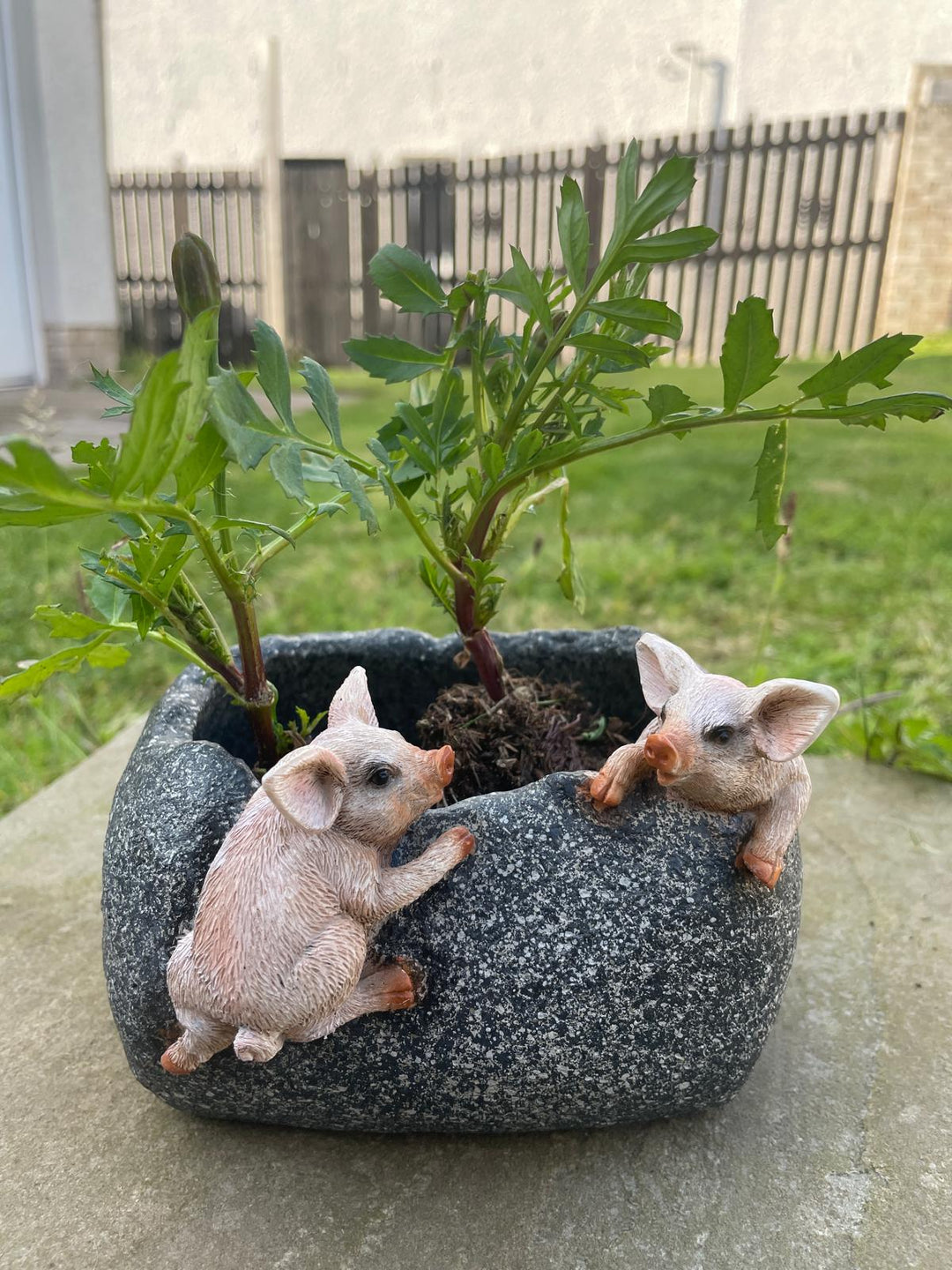 2 Pigs trough Planter resin garden decorative outdoor