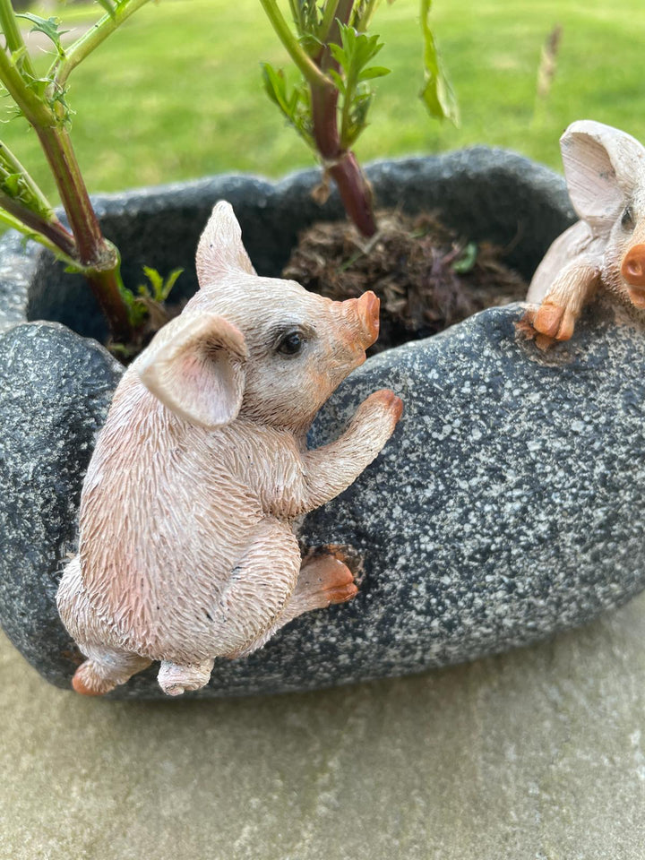 2 Pigs trough Planter resin garden decorative outdoor