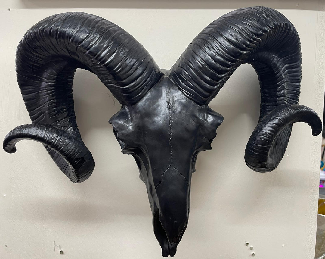 Black Ram Skull Wall head wall mounted Ornament