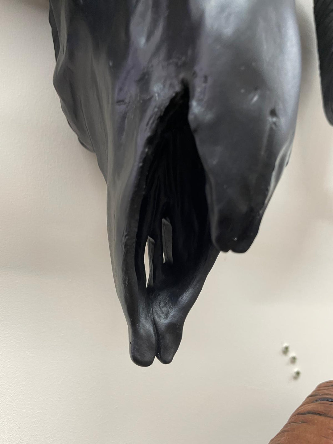 Black Ram Skull Wall head wall mounted Ornament