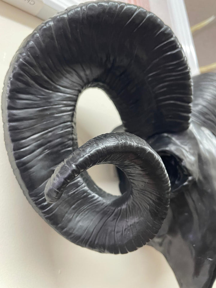 Black Ram Skull Wall head wall mounted Ornament