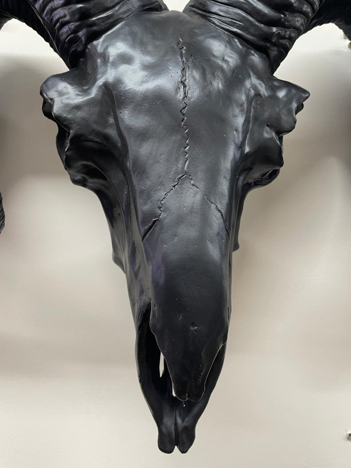 Black Ram Skull Wall head wall mounted Ornament