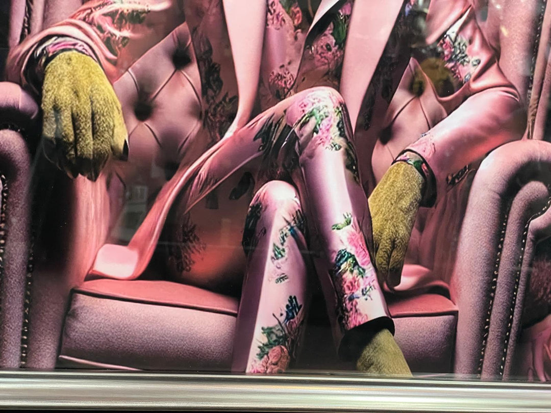 Graphite frame Lioness in a pink floral suit & couch wall art