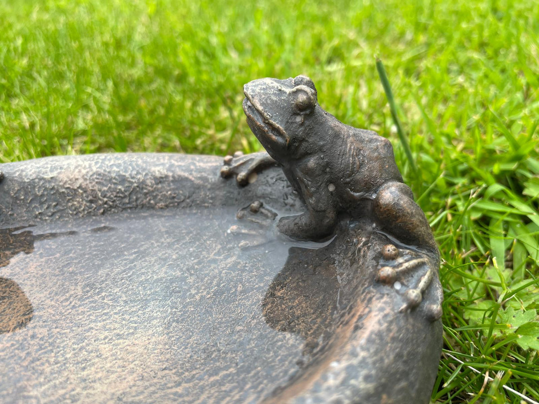 Two frogs bird feeder garden decor ornament
