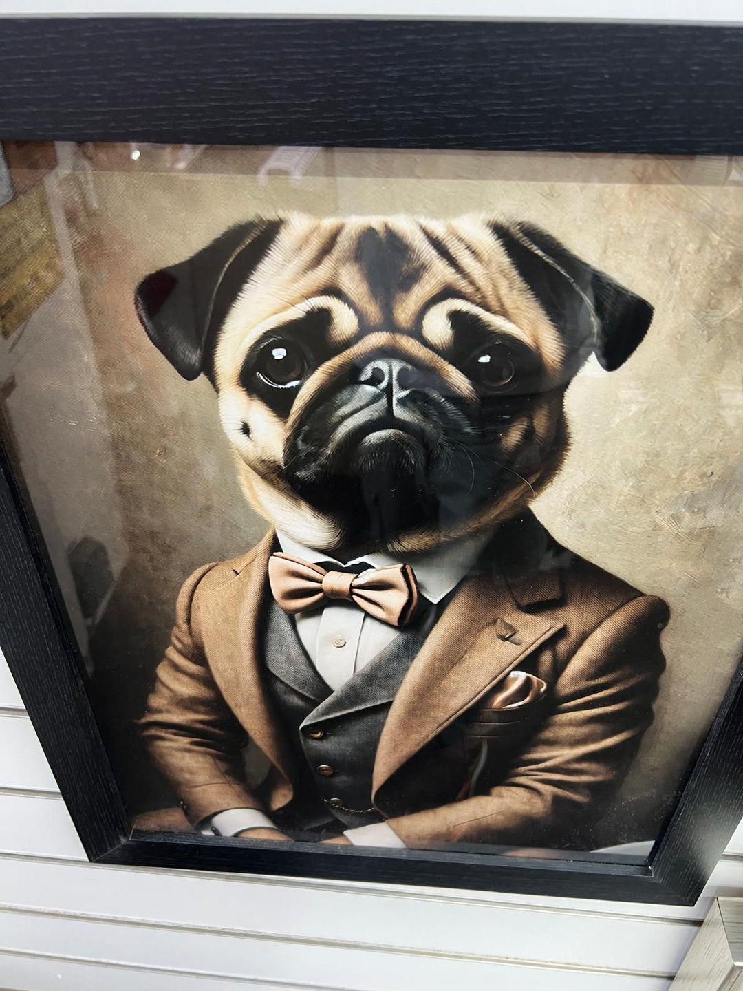 Black framed Pug dog in a suit & bow decorative picture