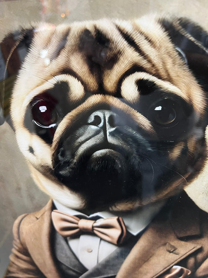 Black framed Pug dog in a suit & bow decorative picture
