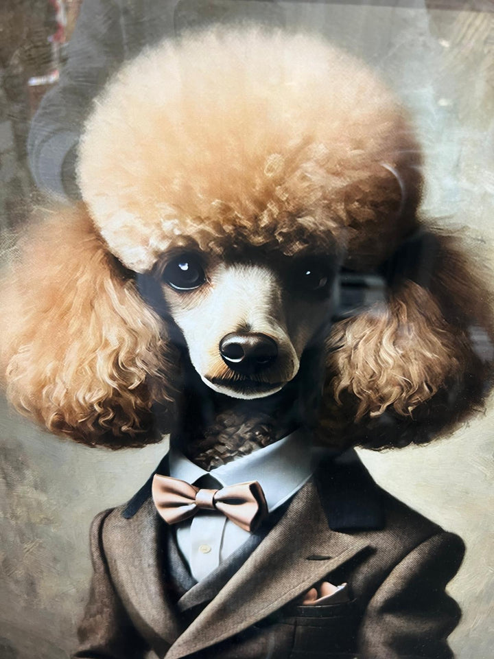 Black framed poodle dog in a suit& bow decorative picture