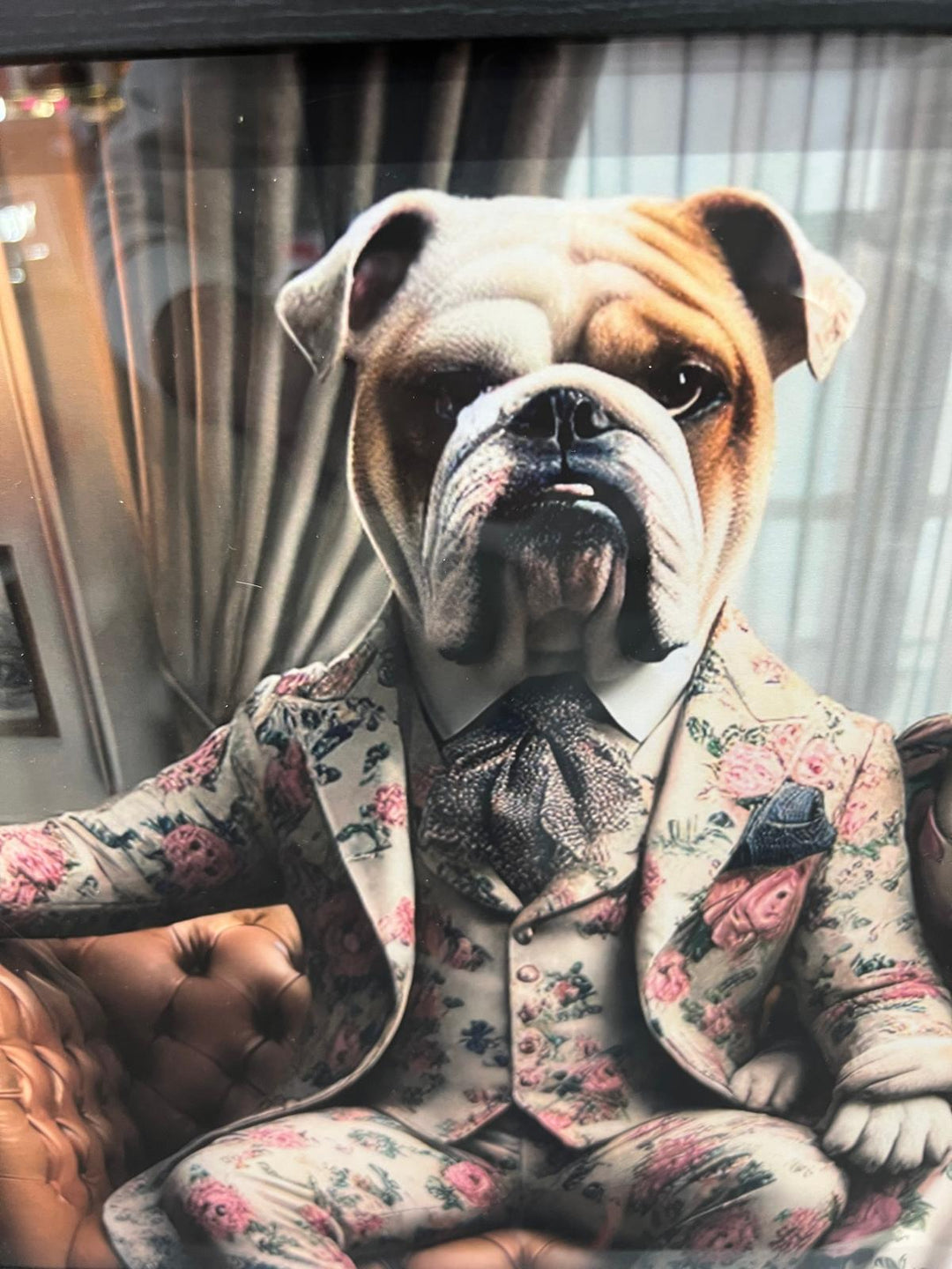 Black framed Bulldog couple in a suit on couch picture
